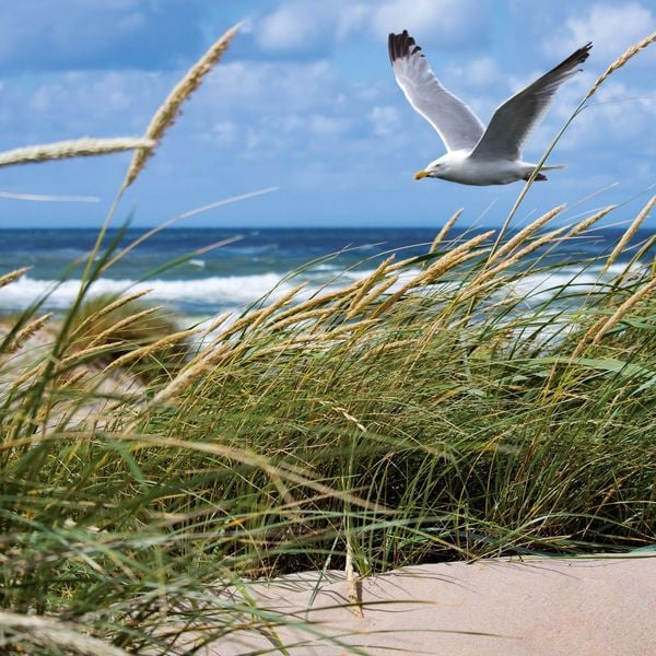 Produktbild: Strand und Meer / Beach and Sea 2027