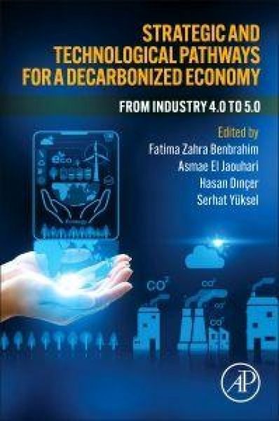 Produktbild: Strategic and Technological Pathways for a Decarbonized Economy