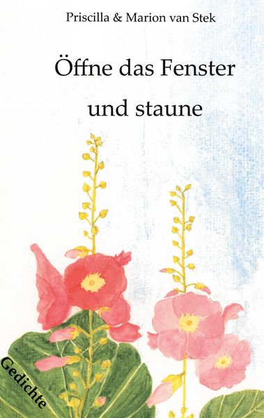 Produktbild: &Ouml;ffne das Fenster und staune