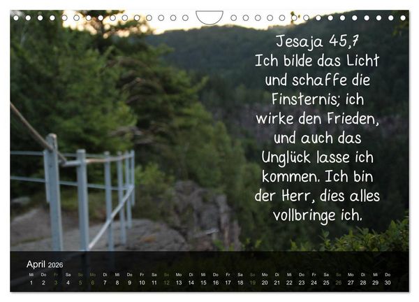 Produktbild: Sch&ouml;pfung im Licht (Wandkalender 2026 DIN A4 quer), CALVENDO Monatskalender