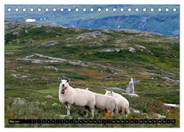 Produktbild: Streifzug durch Norwegens Hardangervidda (Tischkalender 2027 DIN A5 quer), CALVENDO Monatskalender