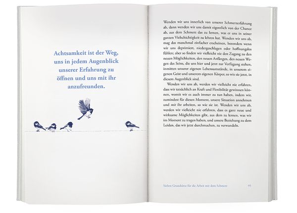 Produktbild: Achtsam mit dem Schmerz