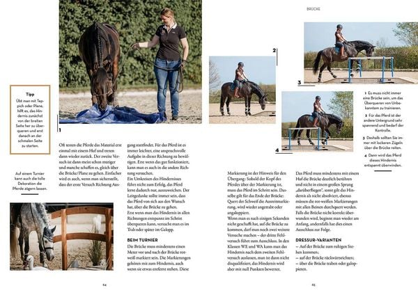 Produktbild: Working Equitation