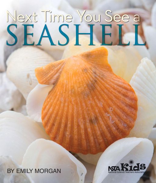Produktbild: Next Time You See a Seashell