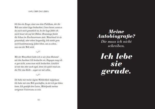 Produktbild: Karl und wie er die Welt sah
