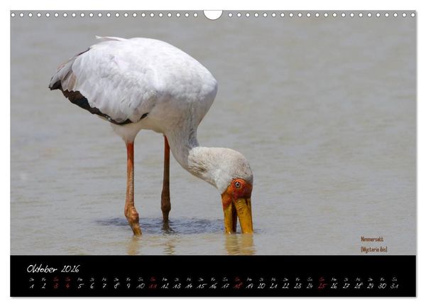 Produktbild: Faszination Afrika - wilde Tiere der Masai Mara - Kenia (Wandkalender 2026 DIN A3 quer), CALVENDO Monatskalender