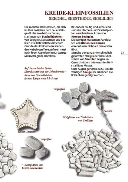 Produktbild: Steine am Ostseestrand
