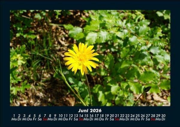 Produktbild: Naturlandschaften 2026 Fotokalender DIN A5