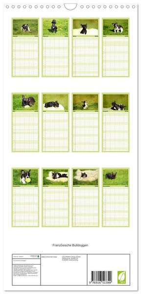 Produktbild: Familienplaner 2026 - Franz&ouml;sische Bulldoggen mit 5 Spalten (Wandkalender, 21 x 45 cm) CALVENDO
