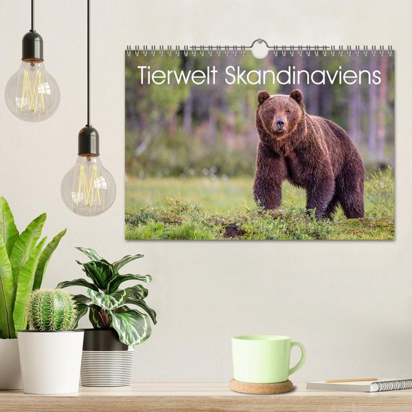 Produktbild: Tierwelt Skandinaviens (Wandkalender 2026 DIN A4 quer), CALVENDO Monatskalender