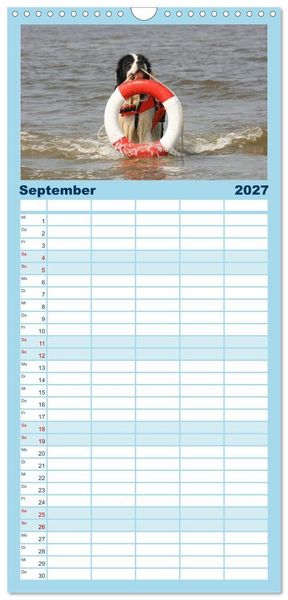 Produktbild: Familienplaner 2027 - Landseer - Das Wasser ist ihr Element mit 5 Spalten (Wandkalender, 21 x 45 cm) CALVENDO