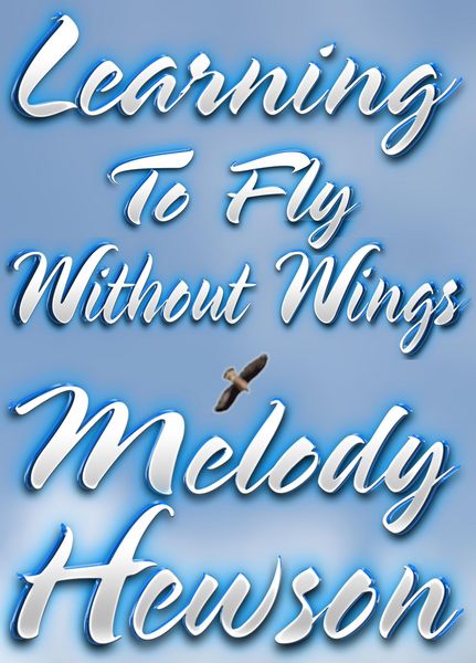 Produktbild: Learning To Fly Without Wings