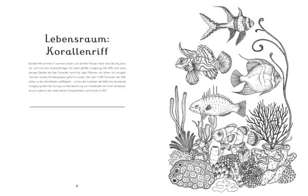 Produktbild: Das Museum der Tiere. Mein Malbuch