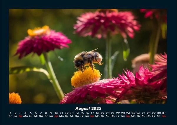 Produktbild: Blumenkalender 2025 Fotokalender DIN A4
