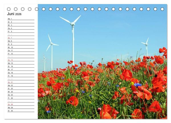 Produktbild: Vier Jahreszeiten im Land Brandenburg (Tischkalender 2026 DIN A5 quer), CALVENDO Monatskalender