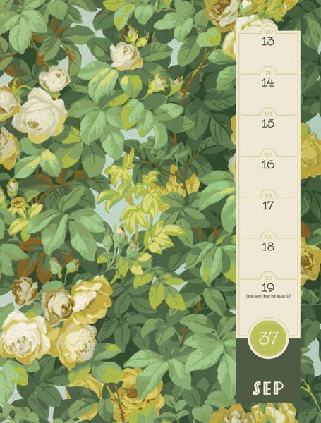 Produktbild: Patterns Wochenplaner Kalender 2027