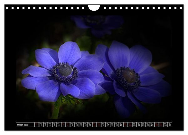 Produktbild: Mysterious plant portraits (Wall Calendar 2026 DIN A4 landscape), CALVENDO 12 Month Wall Calendar