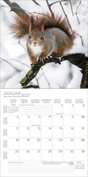 Produktbild: Eichh&ouml;rnchen 2027