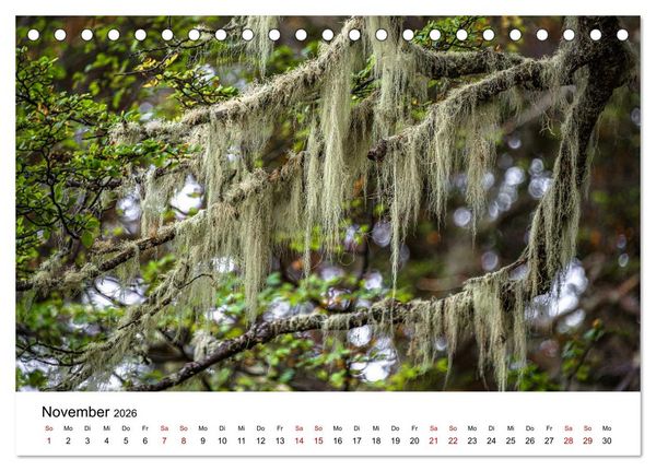 Produktbild: Patagonien, Tierra del Fuego: Am Rand der Welt (Tischkalender 2026 DIN A5 quer), CALVENDO Monatskalender