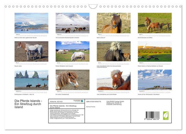 Produktbild: Die Pferde Islands - Ein Streifzug durch Island (Wandkalender 2026 DIN A3 quer), CALVENDO Monatskalender