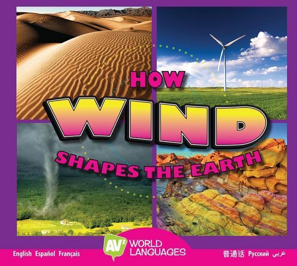 Produktbild: How Wind Shapes the Earth
