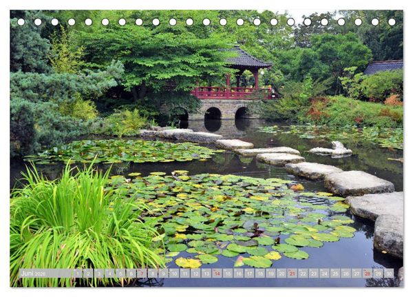 Produktbild: Fern&ouml;stlicher Zauber Japanischer Garten Leverkusen (Tischkalender 2026 DIN A5 quer), CALVENDO Monatskalender