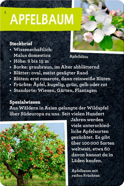 Produktbild: 50 B&auml;ume kennen & erleben