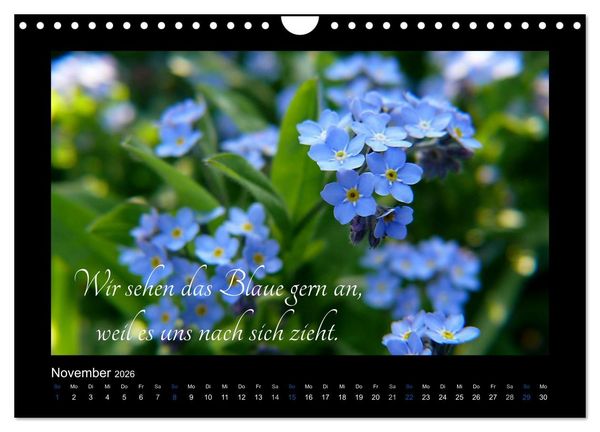 Produktbild: Goethes Blau. Gedanken zur Farbe (Wandkalender 2026 DIN A4 quer), CALVENDO Monatskalender