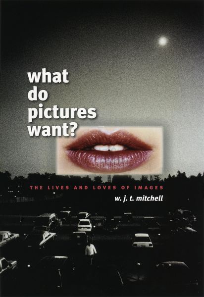 Produktbild: What Do Pictures Want?