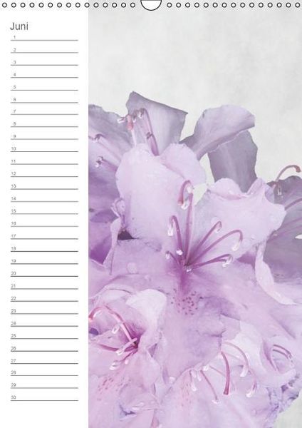 Produktbild: Zarte Bl&uuml;ten / Geburtstagskalender (Wandkalender immerw&auml;hrend DIN A3 hoch)