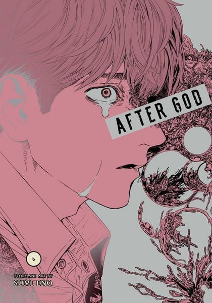 Produktbild: After God, Vol. 6