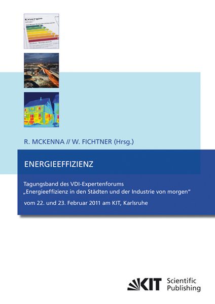 Produktbild: Energieeffizienz : Tagungsband des VDI-Expertenforums