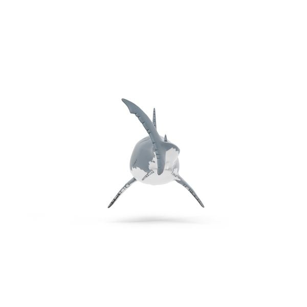Produktbild: schleich&reg; 15055 Megalodon