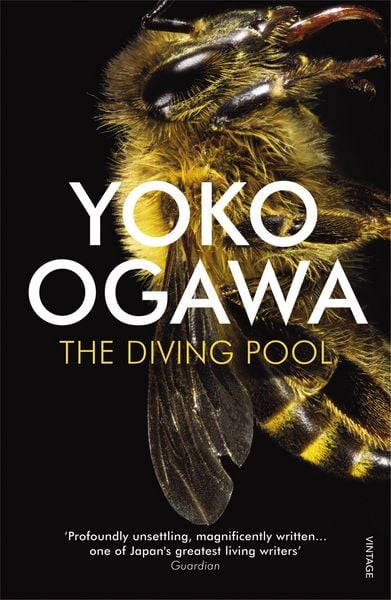 Produktbild: The Diving Pool