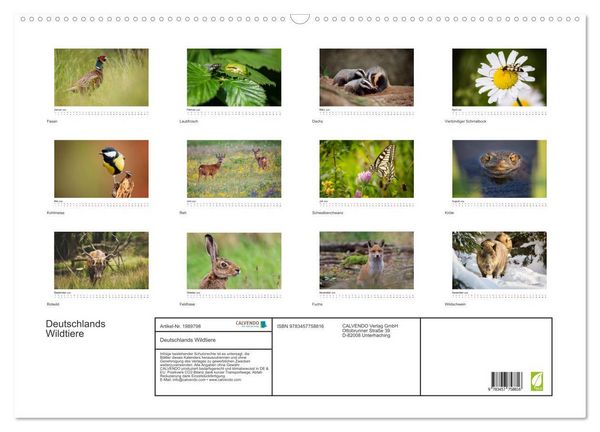 Produktbild: Deutschlands Wildtiere (Wandkalender 2026 DIN A2 quer), CALVENDO Monatskalender