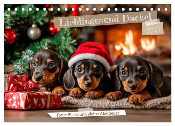 Produktbild: Lieblingshund Dackel (Tischkalender 2027 DIN A5 quer), CALVENDO Monatskalender