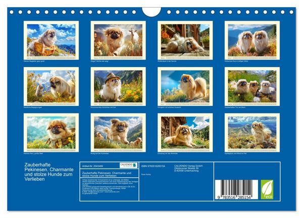 Produktbild: Zauberhafte Pekinesen. Charmante und stolze Hunde zum Verlieben (Wandkalender 2026 DIN A4 quer), CALVENDO Monatskalender