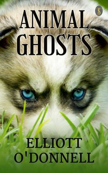 Produktbild: Animal Ghosts