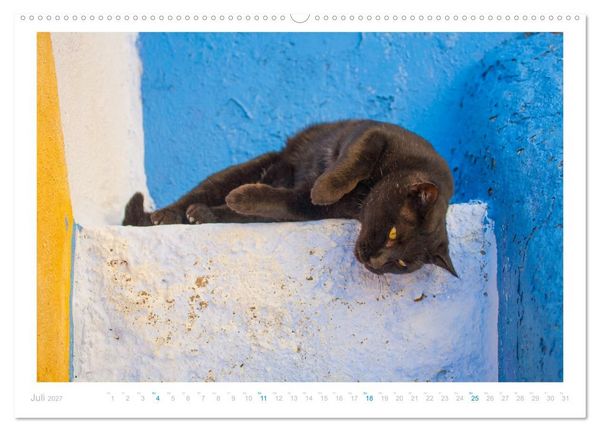 Produktbild: Inselkatzen (Wandkalender 2027 DIN A2 quer), CALVENDO Monatskalender
