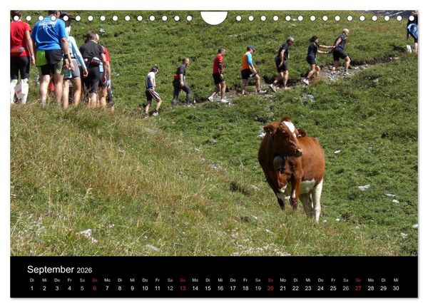 Produktbild: Der Jungfrau-Marathon (Wandkalender 2026 DIN A4 quer), CALVENDO Monatskalender