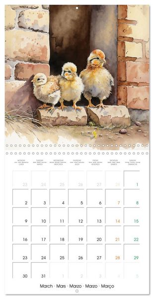 Produktbild: Regard sur la ferme (Calendrier mural carr&eacute; 2026 30x30 cm) Calendrier double avec une page pour vos prises de notes