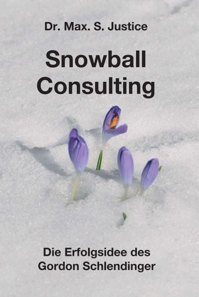 Produktbild: Snowball Consulting