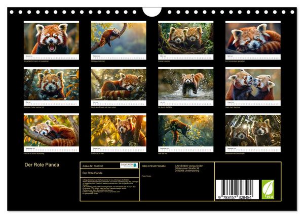Produktbild: Der Rote Panda (Wandkalender 2026 DIN A4 quer), CALVENDO Monatskalender