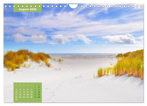 Produktbild: Erlebe mit mir das Naturwunder Neuseeland die S&uuml;dinsel (Wandkalender 2026 DIN A4 quer), CALVENDO Monatskalender