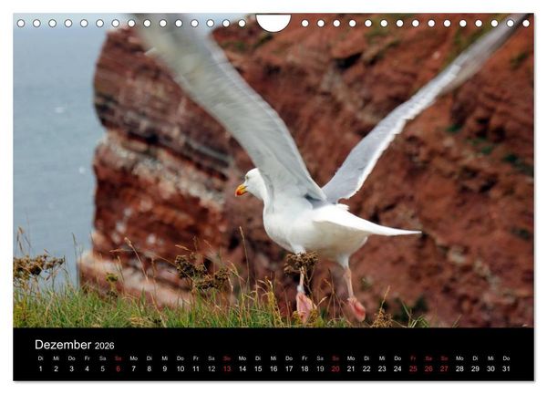 Produktbild: Faszinierendes Helgoland (Wandkalender 2026 DIN A4 quer), CALVENDO Monatskalender