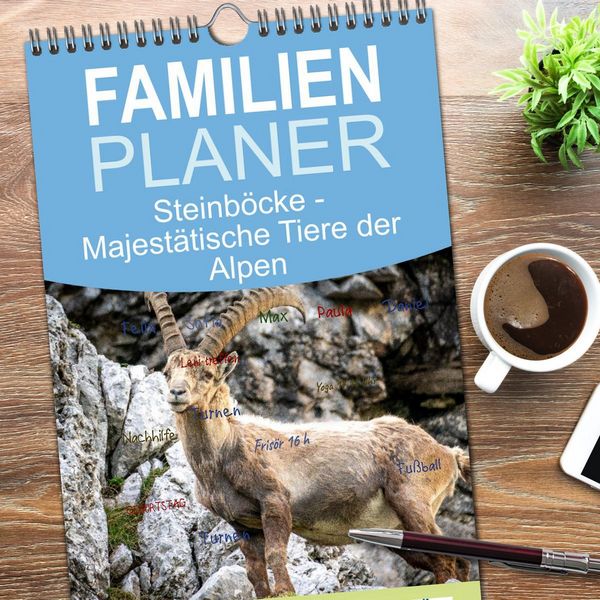 Produktbild: Familienplaner 2026 - Steinb&ouml;cke - Majest&auml;tische Tiere der Alpen mit 5 Spalten (Wandkalender, 21 x 45 cm) CALVENDO
