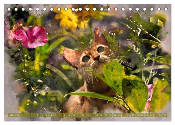 Produktbild: Katzenkalender mausgemalt (Tischkalender 2026 DIN A5 quer), CALVENDO Monatskalender