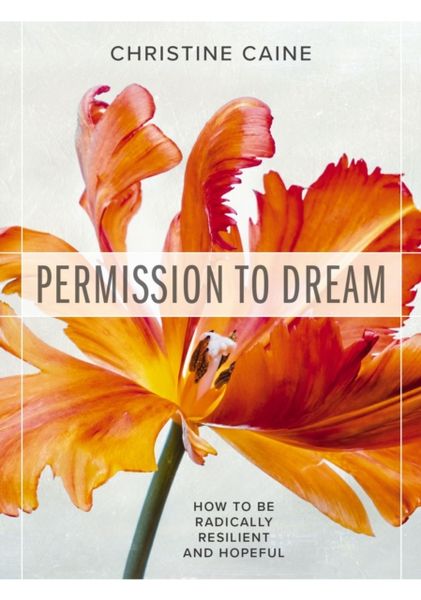 Produktbild: Permission to Dream