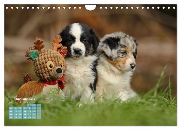 Produktbild: Lillyfee und ein K&ouml;rbchen voller Gl&uuml;ck (Wandkalender 2027 DIN A4 quer), CALVENDO Monatskalender