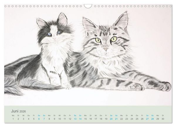 Produktbild: KATZEN PortraiTierART (Wandkalender 2026 DIN A3 quer), CALVENDO Monatskalender